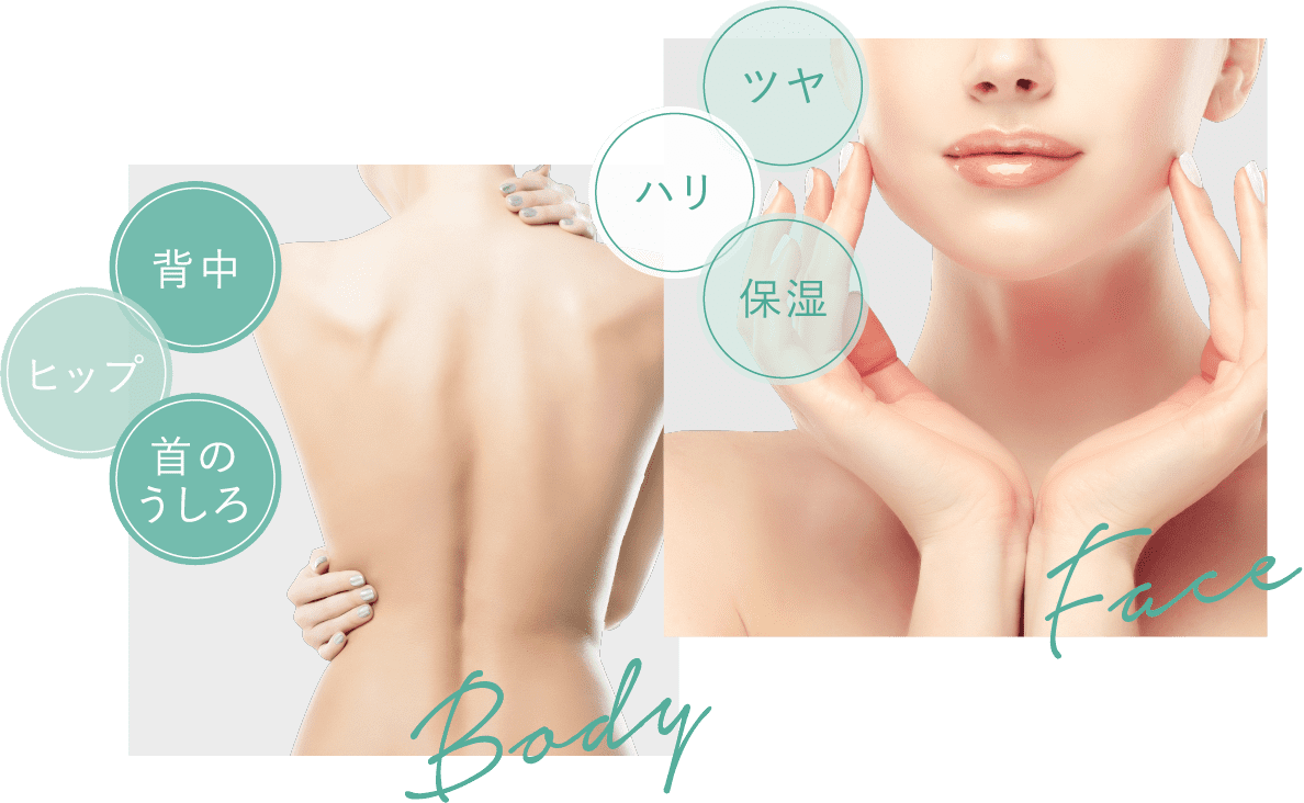 顔もボディも、瞬時に、乾燥知らずの潤い肌へ。With this one, both face and whole body Increases skin strength by +1 every night.